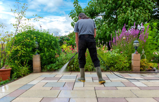 Animal Enclosure Cleaning in Chester Heights, PA